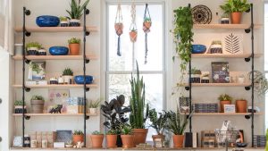 Insta-Famous Plant Store Little Leaf Will Be Popping-Up at the US Botanic Garden This Week