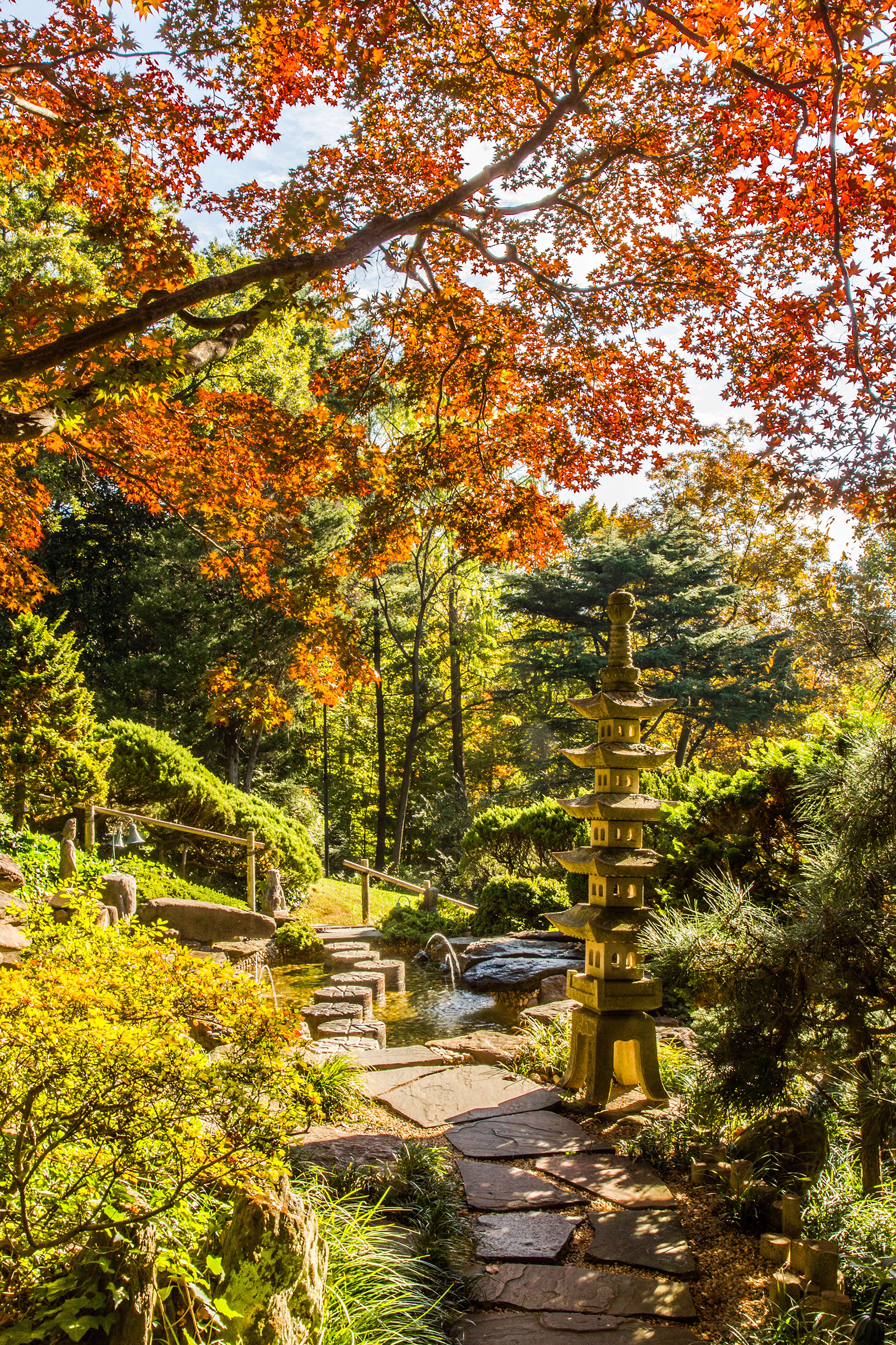 The Japanese-style garden at Hillwood Estate. Photograph by Erik Kvalsvik.